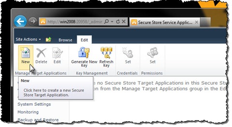 New Target Application button highlighted in the Ribbon