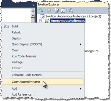Copy Assembly Name menu option highlighted in the project context menu in Visual Studio 2010