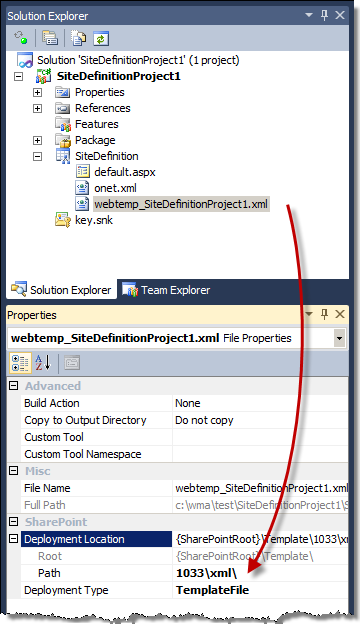 Custom Site Definition created using the Visual Studio 2010 SharePoint Developer Tools