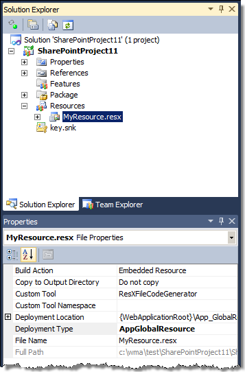Resource file selected in the Solution Explorer window.