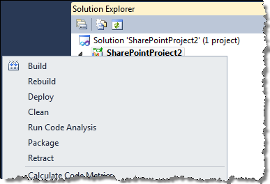 Standard menu options for a SharePoint Project