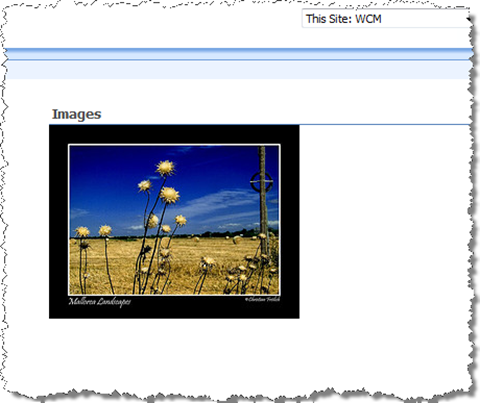 Images List View Web Part automatically turns into a slideshow as soon as the JavaScript is added to the page