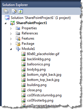 Assets in a Module created by the Visual Studio 2010 SharePoint Developer Tools