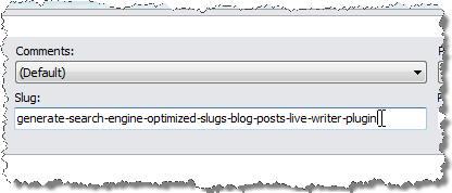 Paste the generated slug into the Slug field in the post properties