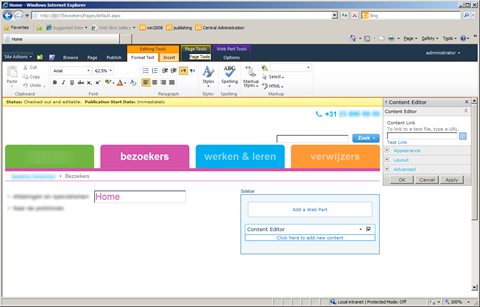 Editor Pane rendered within the page boundaries