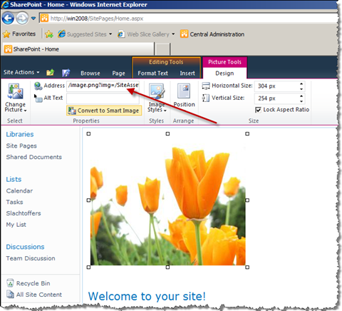 After clicking the 'Convert to Smart Image' button the URL has changed into the Smart Image URL.