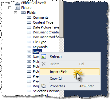 Importing Field using the CKS:DEV Import Field option