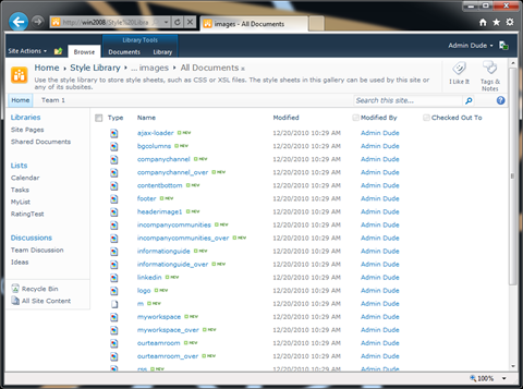 Many image files in a folder in Style Library checked in.