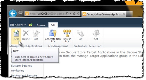 New Target Application button highlighted in the Ribbon