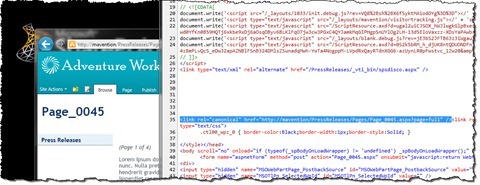 Link rel canonical highlighted in the page source