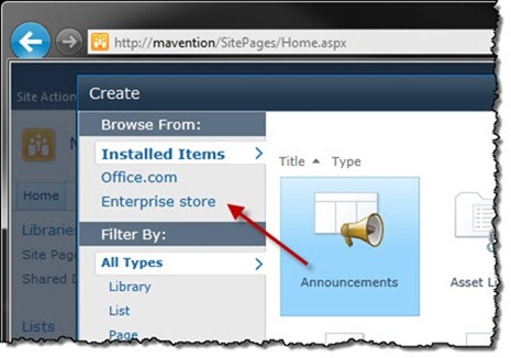 The Enterprise Store tab added to the Gallery