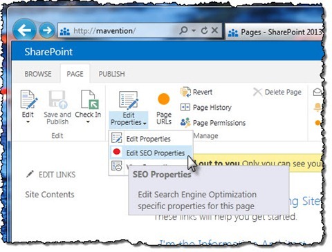 The ‘Edit SEO Properties’ option highlighted in the Ribbon