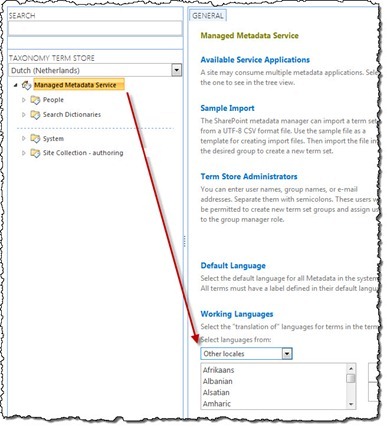Choosing Working Languages for a Term Store