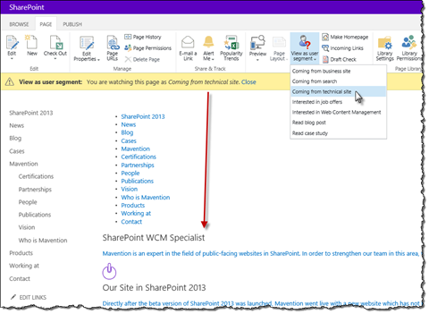 The homepage of the mavention.com website previewed as one of the user segments