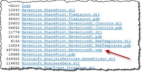 Drop folder with a single SharePoint Package after building SharePoint Project using a custom Build Template
