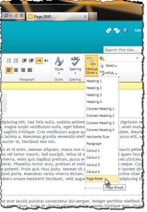The Page Break menu item highlighted in the Ribbon
