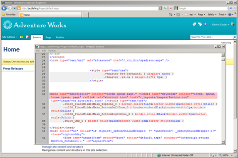 description and keywords meta tags added by the Mavention Meta Fields control