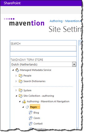 Pages Terms for the Mavention.nl website