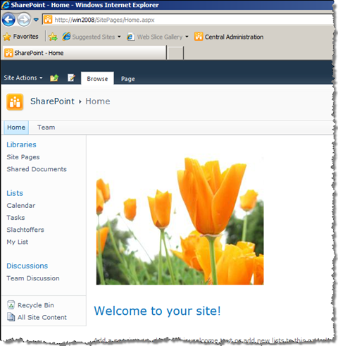 SharePoint 2010 Team Site with a picture of orange flowers.