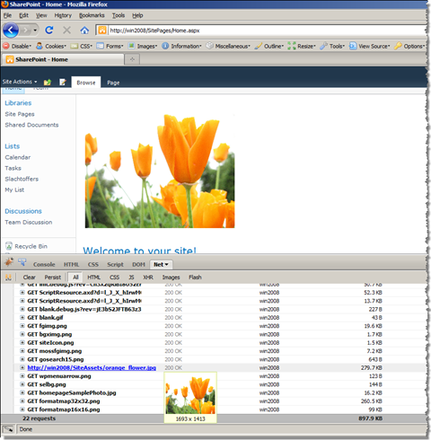Page statistics showing the original large picture loaded in spite of the resized miniature included on the page.