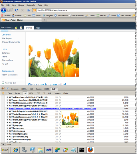 Page statistics showing the resized picture loaded using the Mavention Smart Image URL.