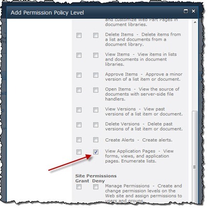 Deny checkbox checked for the ‘View Application Pages’ permission