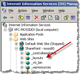 IIS Manager window with 